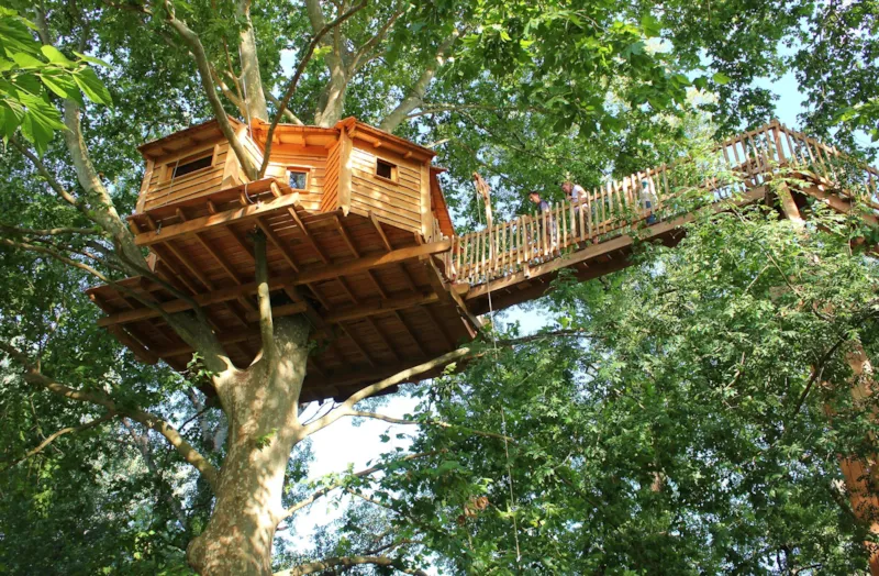Cabane Perchée Dans Les Arbres