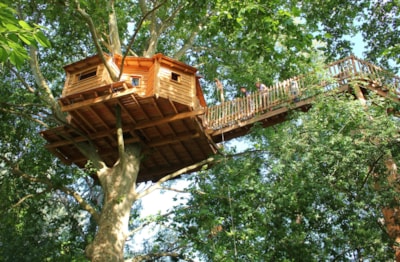 treehouse — 8