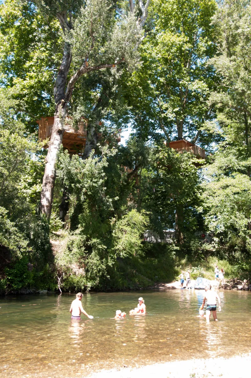 Cabane Perchée Dans Les Arbres