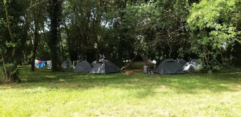 Confort - Emplacement 2 Personnes + Tente Ou Caravane + Electricite 10A + Vehicule