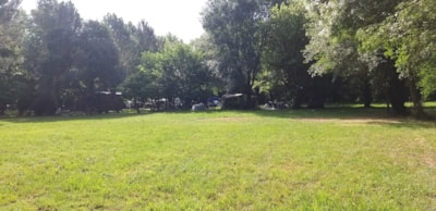 COMFORT - SPACE 2 persons + TENT or CARAVAN + ELECTRICITY 10A + VEHICLE — 7