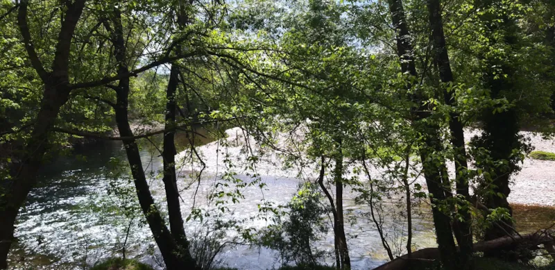 Bord De Riviere / Emplacement Confort / 2 Pers + Tente Ou Caravane+ Electricite 10A + Véhicule