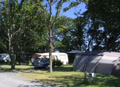 Piazzola + 1 Auto + Elettricità