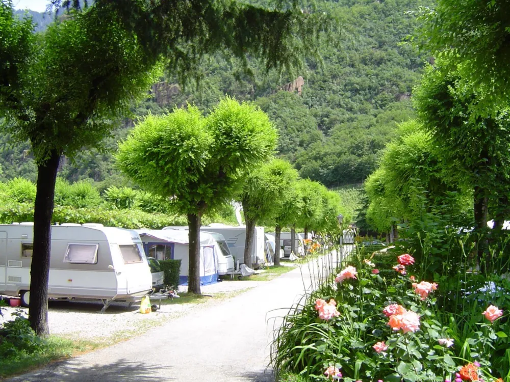 Camping Steiner