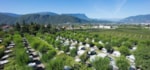 Camping Steiner Camping Steiner