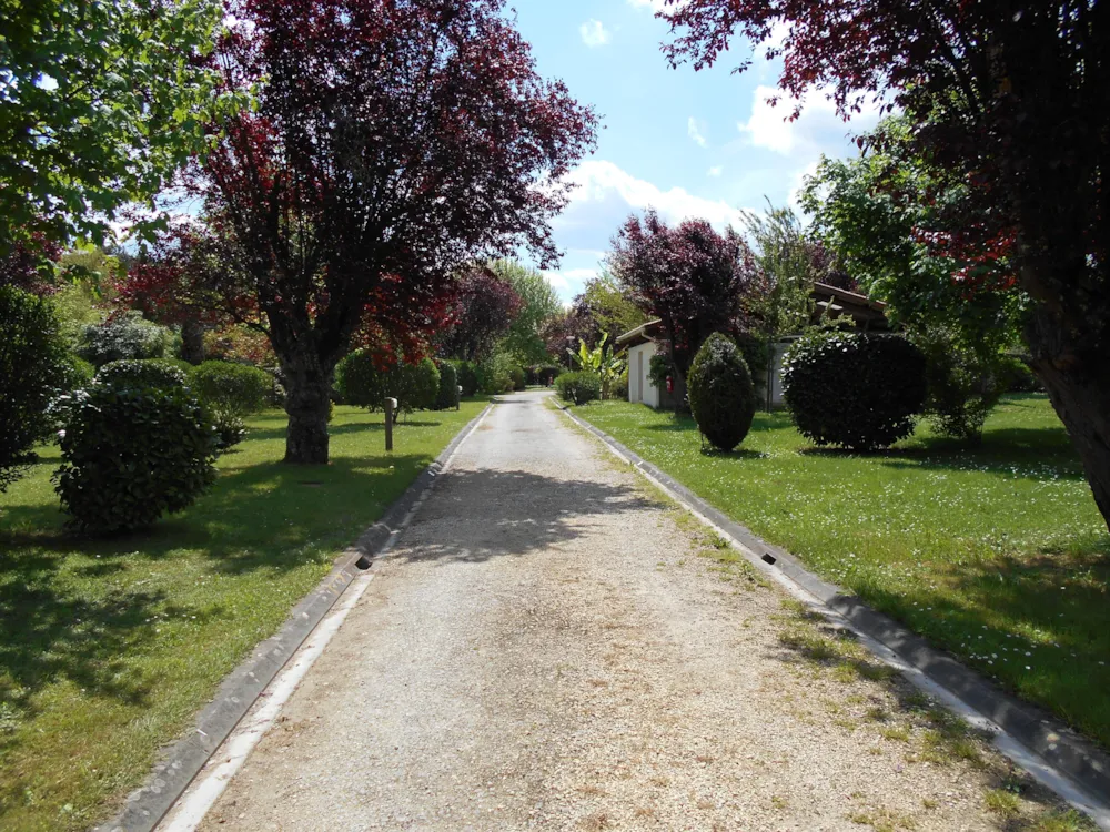 Stellplatz Komfort (Mit Strom / 90-120M²)