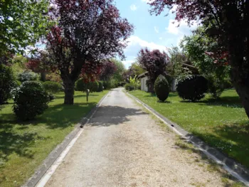 Stellplatz - Stellplatz Komfort (Mit Strom / 90-120M²) - Village La Rivière Fleurie