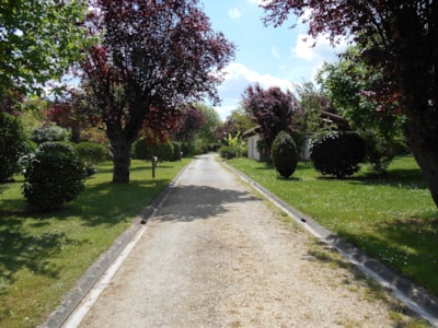 Comfort pitch (with electricity / 90-120m²)