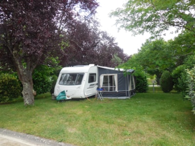 Comfort pitch (with electricity / 90-120m²)