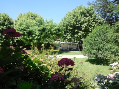 Comfort pitch (with electricity / 90-120m²)