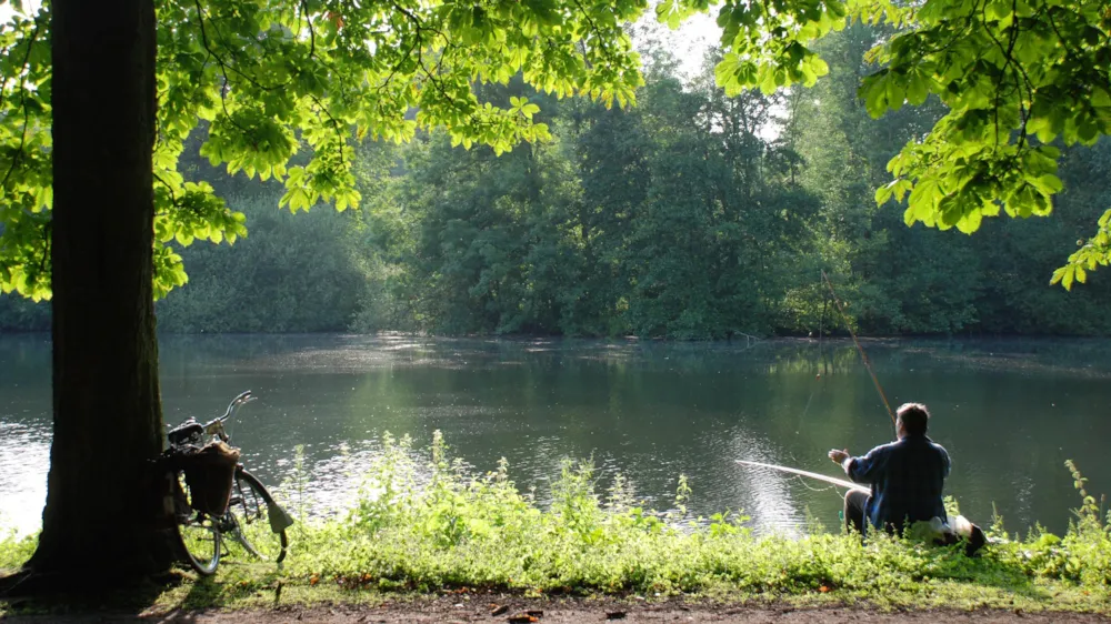 ParcCamping de Witte Vennen - image n°26 - UniversalBooking