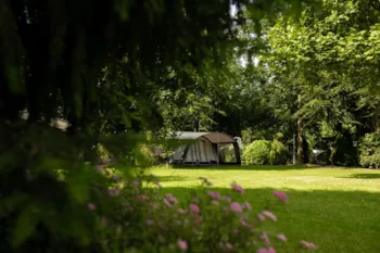 Pitch - Pitch - ParcCamping de Witte Vennen