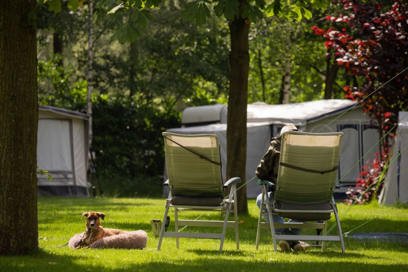 Campingplatz ParcCamping de Witte Vennen in Oostrum | PiNCAMP by TCS