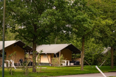 Luxury safari tent with XL sanitary facilities.