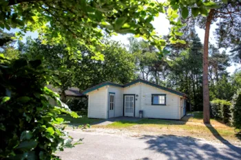 Accommodation - Bungalow Type 2 - ParcCamping de Witte Vennen