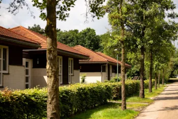 Accommodation - Bungalow Type 3 Parkwoning - ParcCamping de Witte Vennen