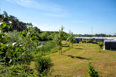 Luxury comfort pitch by the water