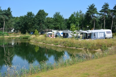 Luxury comfort pitch by the water