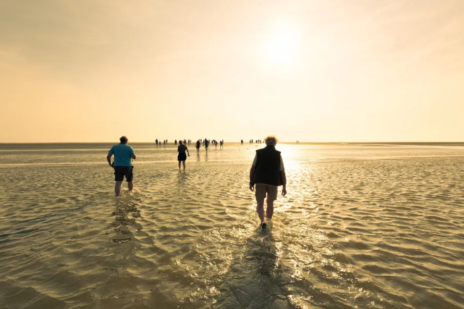 Siblu – Camping Lauwersoog