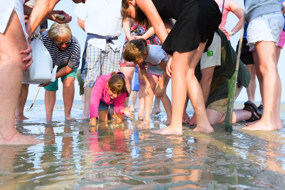 Siblu – Camping Lauwersoog