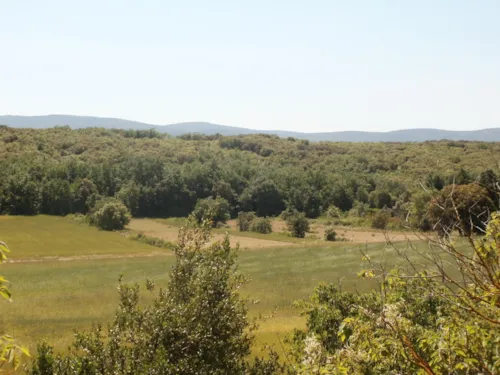 Pitch - Pitch - image n°6 - Camping Les Silhols