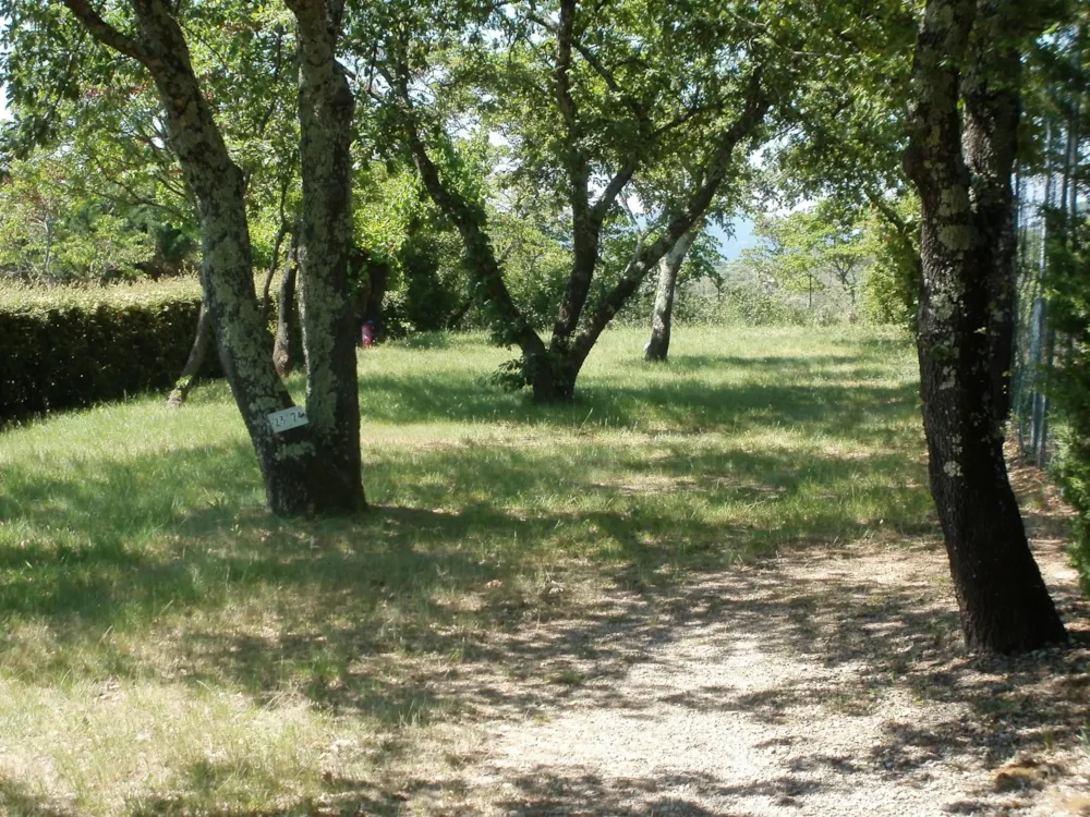 Camping Les Silhols - image n°3 - Ardeche