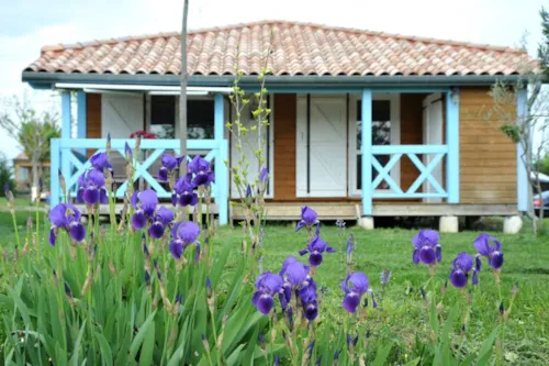 Location - Lodge Chalet Twin 65M²+35M² - image n°3 - Camping Chadeyron