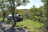 Foto #5 van Camping Chadeyron
