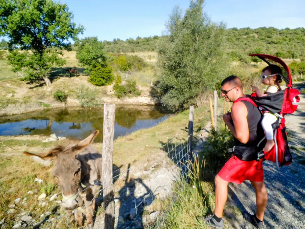 Camping Chadeyron - image n°40 - Ardeche