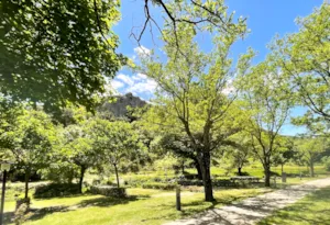Emplacement - Pitch package for 2 people + vehicle + 10 Amp electricity. - Camping de la Claysse