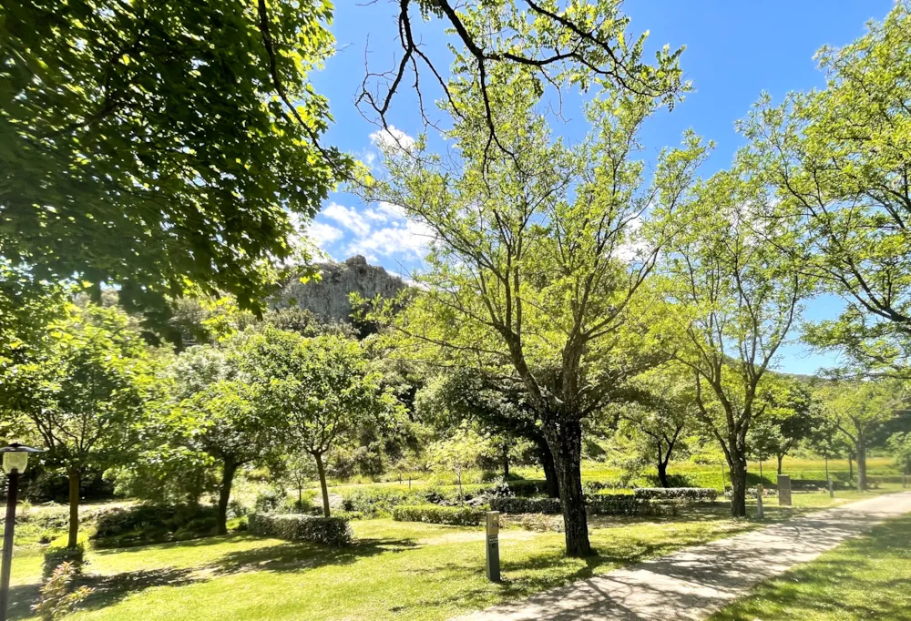 Camping de la Claysse - image n°5 - Ardeche