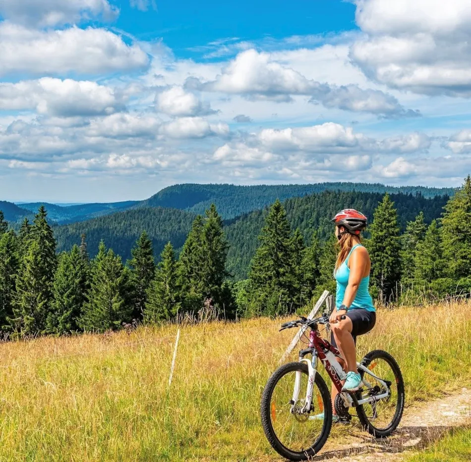 Camping Montagne des Vosges