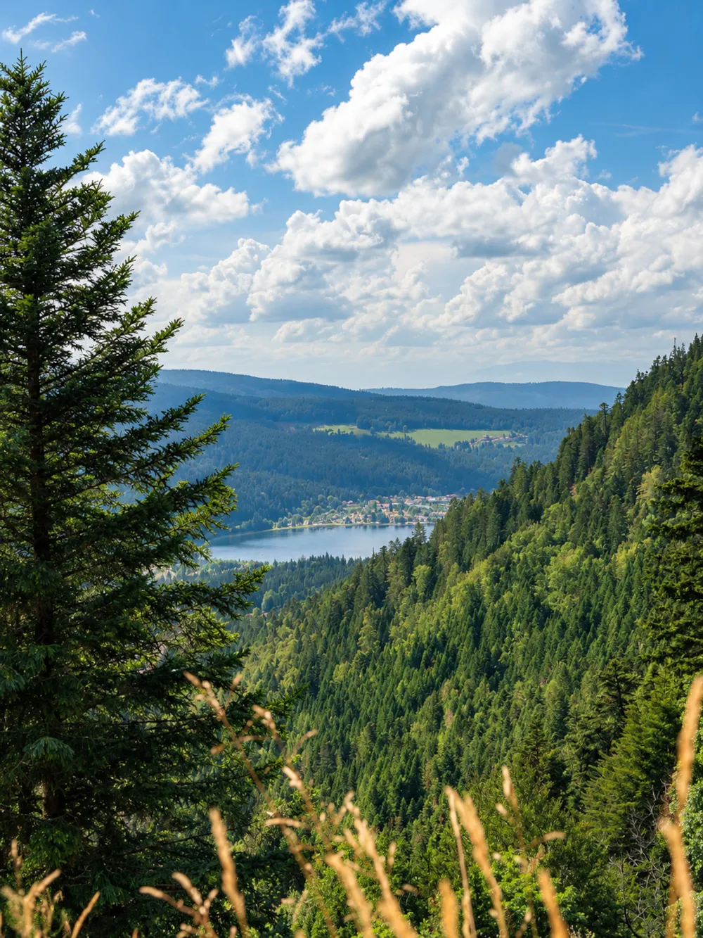 Camping Montagne des Vosges