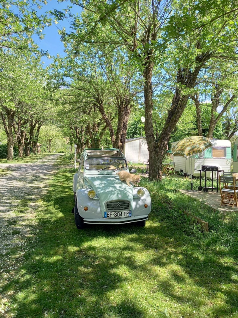 Sind Hunde auf Camping La Bohème erlaubt? photo 2