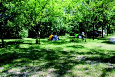 Pitch for 1 person with 1 tent or caravan, 1 car or 1 motorbike