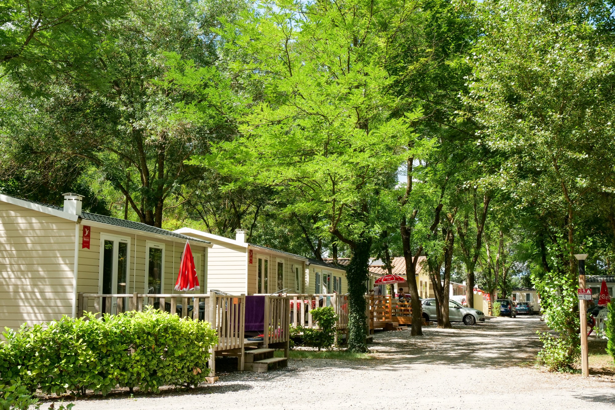 Camping Les Rives d'Auzon — Photo 6