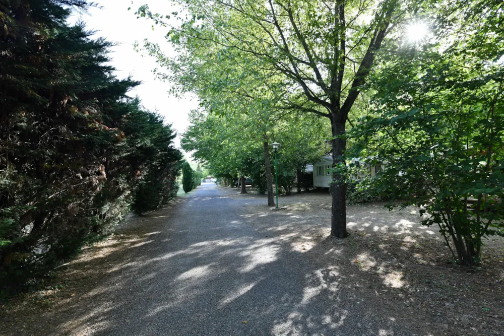 Camping du Cros d'Auzon - image n°3 - Ardeche
