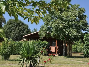 Camping Midi Pyrénées - image n°2 - Camping Direct