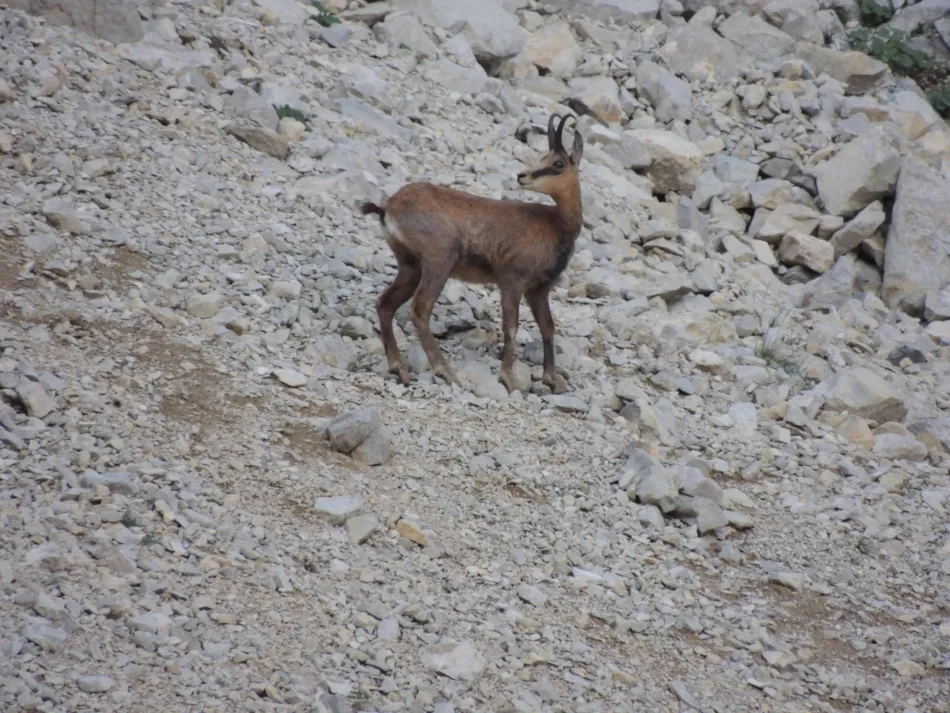 Camping Les Rives du Lac