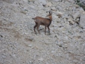 Camping Les Rives du Lac