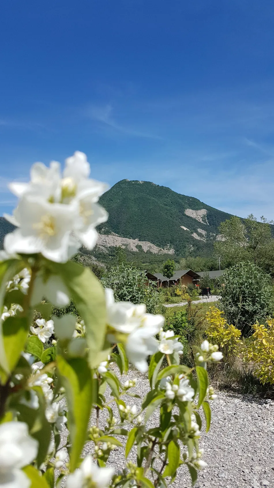 Camping Les Rives du Lac