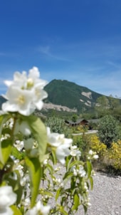 Camping Les Rives du Lac