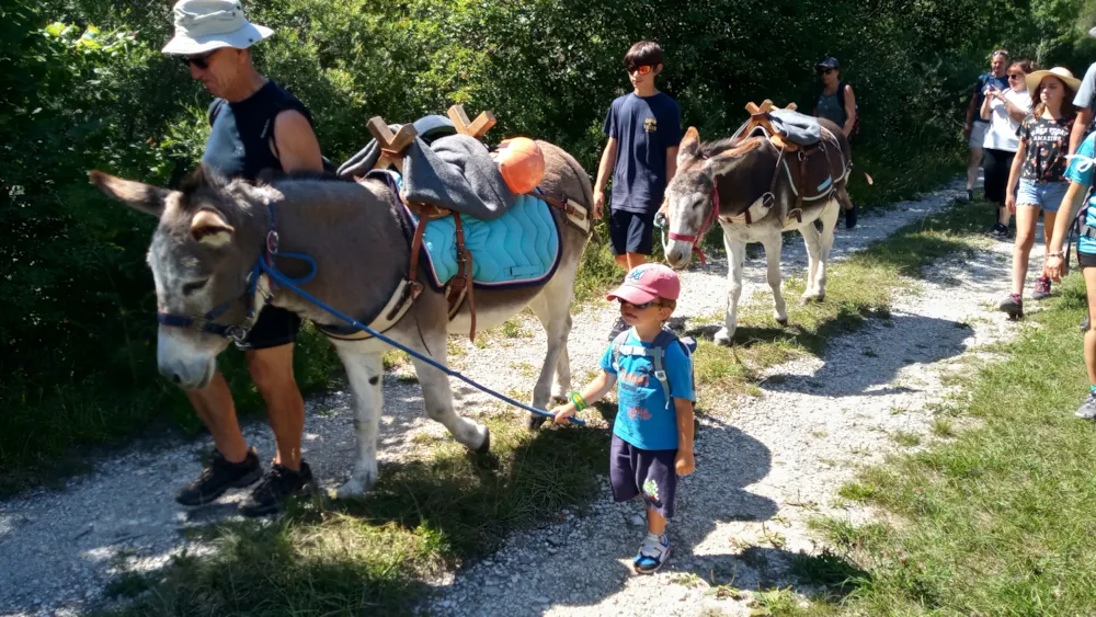 Camping Les Rives du Lac