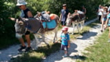 Foto #41 van Camping Les Rives du Lac