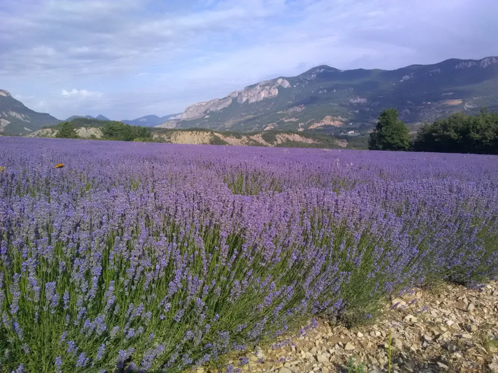 Camping Les Rives du Lac