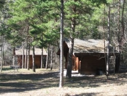 Holzhütte nature