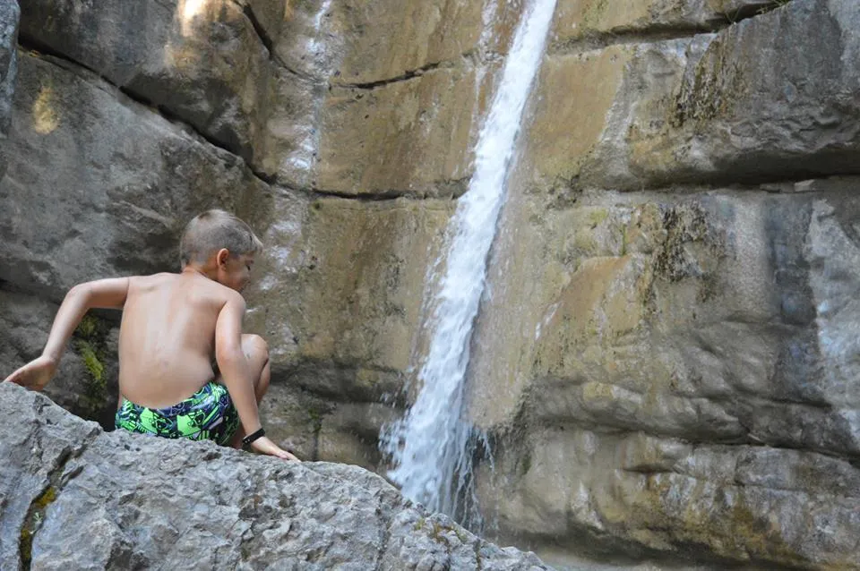 LE PARC DES SERIGONS - image n°21 - UniversalBooking