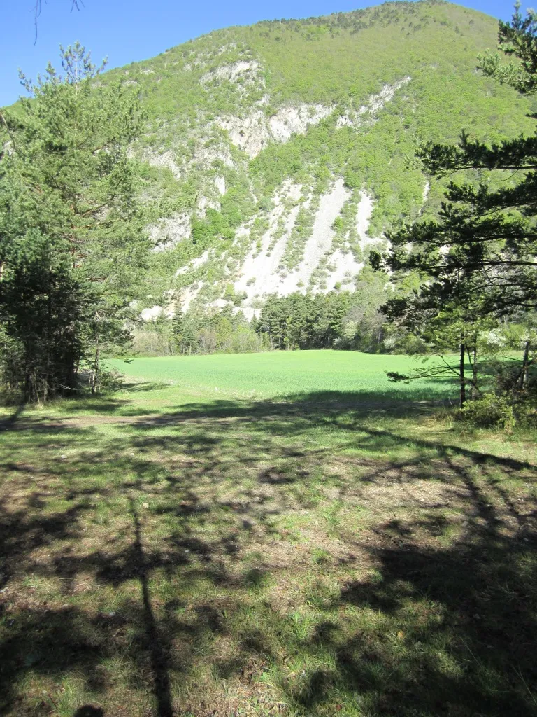 Emplacement Camping "Avec Vue" + Voiture