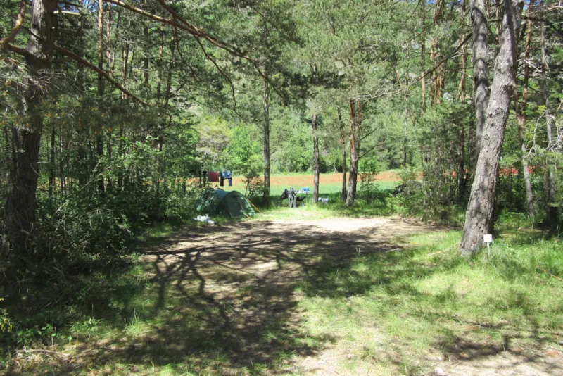 Emplacement Camping "Avec Vue" + Voiture