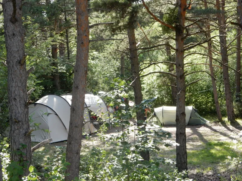 Emplacement Xl (+200M²) + Voiture